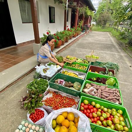 Posada Del Camino Real Affittacamere Moniquirá Esterno foto