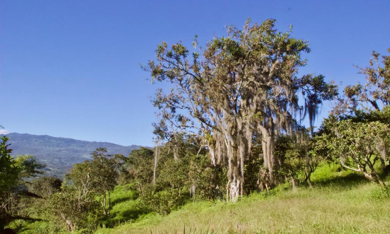 Posada Del Camino Real Affittacamere Moniquirá Esterno foto