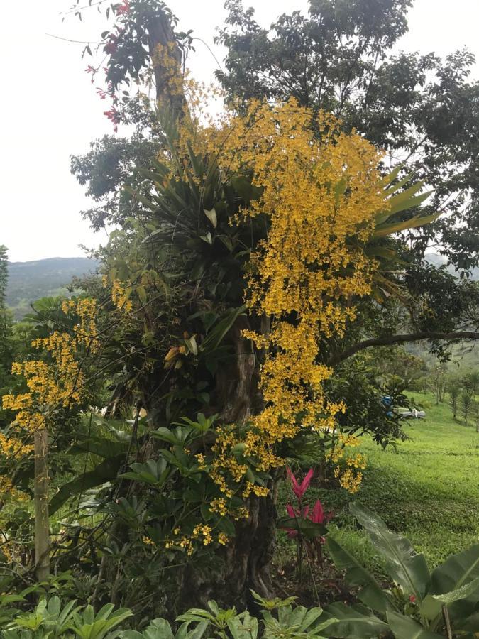 Posada Del Camino Real Affittacamere Moniquirá Esterno foto