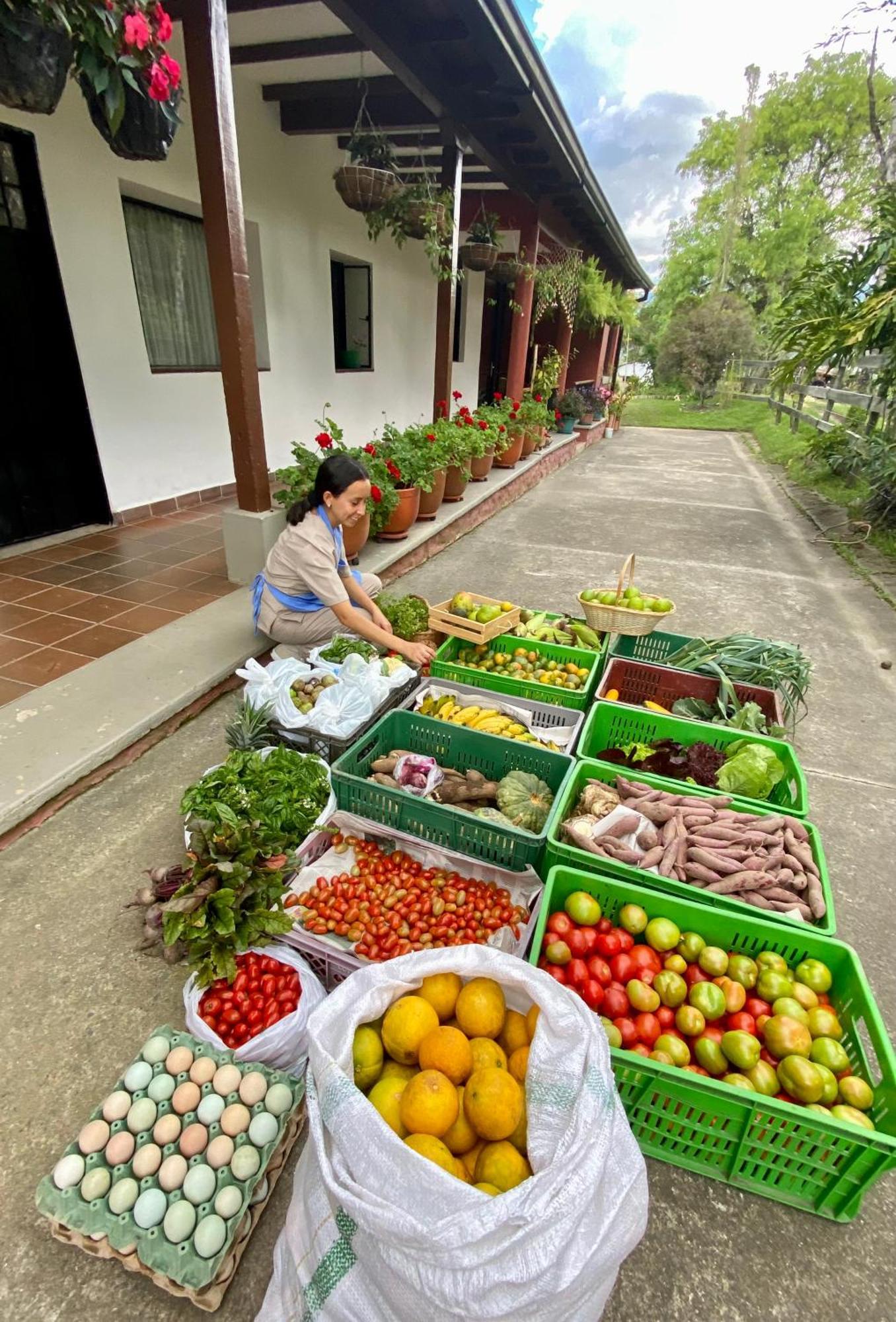 Posada Del Camino Real Affittacamere Moniquirá Esterno foto